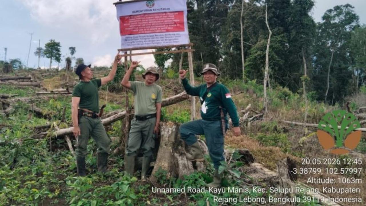 TNKS Temukan 80 Hektare Lahan di Rejang Lebong Dirambah, Upaya Pemulihan Ekosistem Digenjot