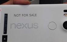 Spesifikasi Nexus 5X terungkap, tak kalah dari iPhone 6s