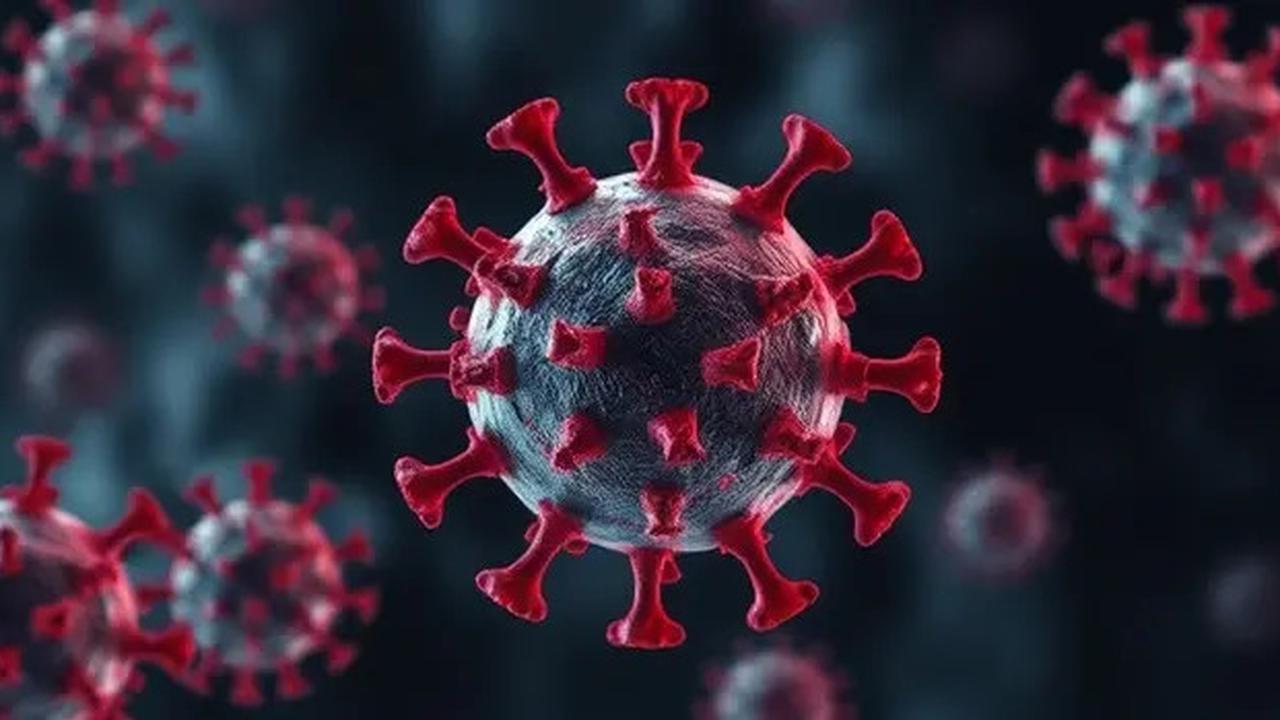 Meningkat Cepat, Malaysia Catat Adanya 327 Kasus Penemuan Virus HMPV