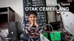 Perusahaan besar ini tak ragu merekrut anak yang masih di bawah umur ini karena bakat dan kepintaran yang mereka miliki.