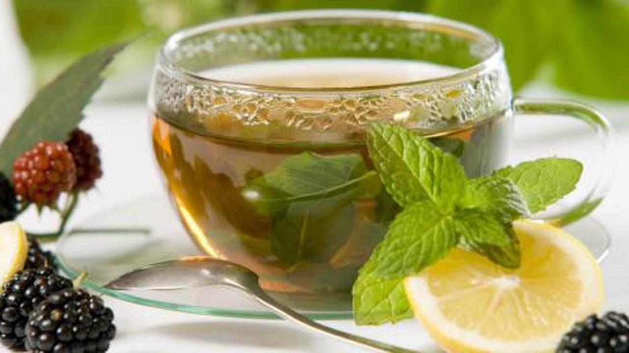 Wah, minum teh hijau bisa memperpanjang usia!