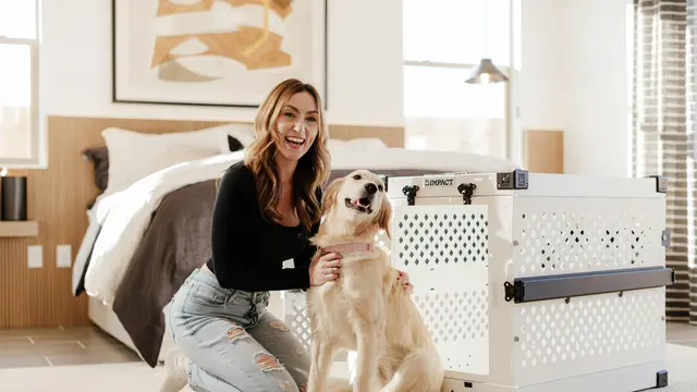 Mitos Atau Fakta Bahwa Cat Person Lebih Cerdas Daripada Dog Person? (photo by pexels.com)