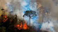 Asap mengepul dari api yang menyala secara ilegal di cagar alam hutan hujan Amazon, selatan Novo Progresso di negara bagian Para, Brasil pada 15 Agustus 2020. (AFP/Carl De Souza)
