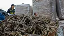 Penampakan kuda laut yang disita dari sebuah kapal di Pelabuhan Callao, Peru, Senin (30/9/2019). Kuda laut dipandang sebagai sumber utama pengobatan tradisional Tiongkok untuk menyembuhkan infertilitas, kebotakan, asma, dan radang sendi. (Peruvian Ministry of Production/AFP)