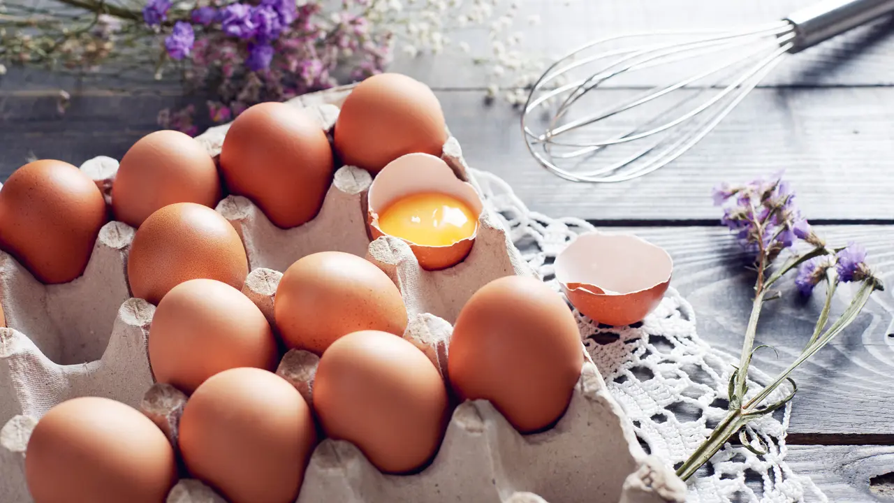 Telur