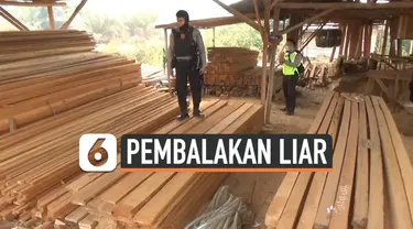 Polresta Pontianak menggerebek pabrik pengolahan kayu tanpa izin di Kecamatan Sungai Ambawang, Kubu Raya, Kalimantan Barat, Selasa (1/10/2019).