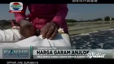 Di saat hasil panen garam melimpah, hampir bisa dipastikan apa yang dihasilkan oleh para petani akan berbading dengan harapan yang selama ini mereka inginkan. Seperti halnya petani garam di wilayah Kecamatan Palang Tuban.