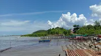 Hamparan Hutan Mangrove di Sungai Limau, Sungai Kunyit, Mempawah, Kalbar. (Liputan6.com/Aceng Mukaram)