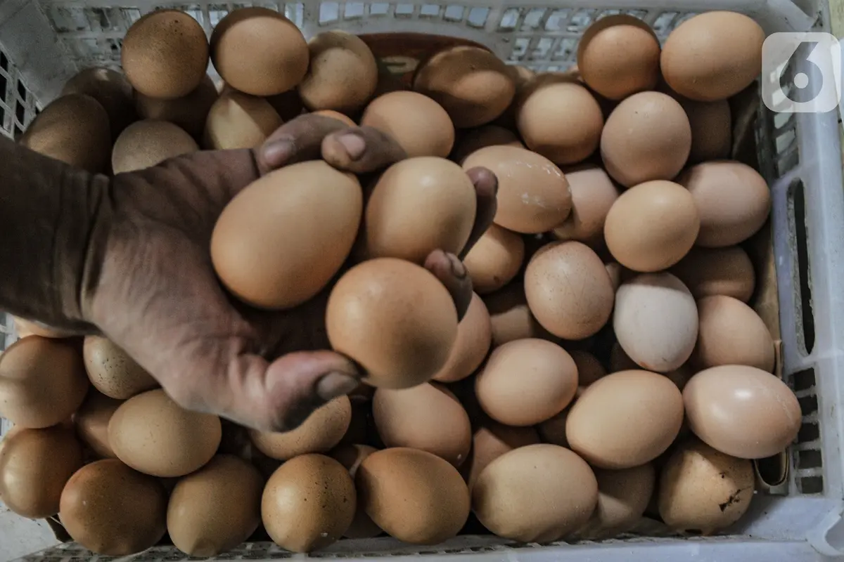 Jelang Ramadan Harga Telur Ayam Merangkak Naik