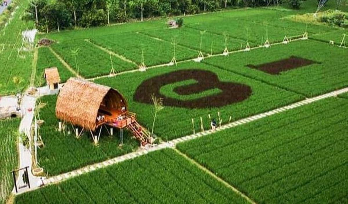 <b>2. Sawah Lukis Binjai</b>