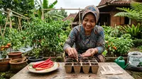 6 Cara Menanam Cabai dari Biji Buah yang Sudah Matang, dari Seleksi hingga Panen