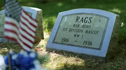 Nisan untuk "Rags", anjing maskot Perang Dunia I Divisi 1 Angkatan Darat terlihat di Memorial Park di Aspen Hill, Maryland, 25 Agustus 2015. Didirikan sejak tahun 1921, lebih dari 50.000 hewan dimakamkan di tempat ini. (REUTERS/Gary Cameron)
