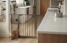 7 Cara Mencegah Kucing Masuk ke Dapur Tanpa Menyakiti, Aman & Efektif