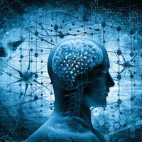 Benarkah Omega-3 Baik untuk Kesehatan Otak? (Adike/Shutterstock)