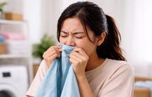 Baju Bau Apek Meski Sudah Kering? Ini Tips Ampuh Bikin Segar Lagi