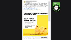 Tangkapan layar klaim tautan pendaftaran untuk mendapatkan bantuan bibit ayam yang beredar di Facebook.