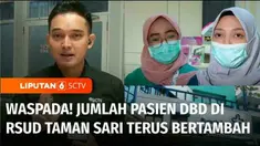 Demam berdarah atau DBD masih mengancam warga di musim hujan. Seperti kasus DBD di RSUD Taman Sari, Jakarta Barat, yang angkanya terus melonjak hingga 50 persen.