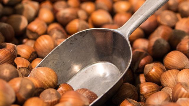 Ilustrasi Kacang Hazelnut (Sumber: ejaugsburg/pixabay.com)