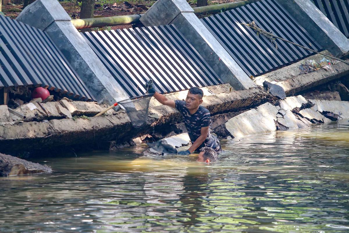 FOTO: TNI AL Bantu  Memusnahkan Ikan Sapu Sapu di Setu babakan