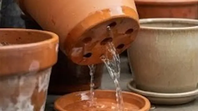 Pastikan Setiap Pot Memiliki Drainase yang Baik