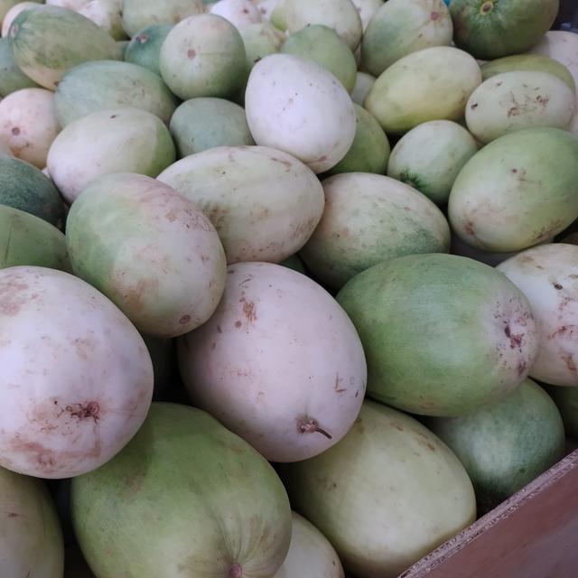 Sulit Cari Timun Suri Pada Ramadan Tahun Ini Begini Alasannya Regional Liputan6 