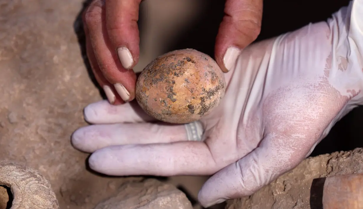Arkeolog menunjukkan telur ayam berusia 1.000 tahun yang ditemukan selama penggalian di Kota Yavne, Israel, Rabu (9/6/2021). Bahkan di seluruh dunia, ini adalah penemuan yang sangat langka. (Emmanuel DUNAND/AFP)