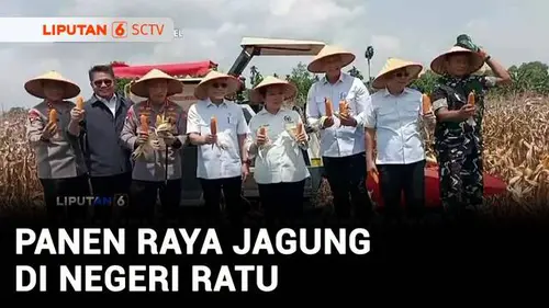 VIDEO: Panen Raya Jagung Bersama Kapolri dan Menko Zulhas, Titiek Apresiasi Upaya Ketahanan Pangan