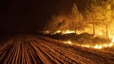 Kebakaran menghanguskan hutan di dekat Ituzaingo di provinsi Corrientes Argentina, Sabtu (19/2/2022). Kebakaran telah menghanguskan lebih dari setengah juta hektar. (AP Photo/Rodrigo Abd)