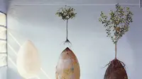 Bagaimana Konsep Baru Pemakaman dengan Gunakan Kapsul?