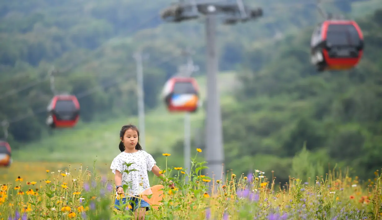 Seorang anak bermain di ladang bunga yang ada di sebuah kawasan resor di Kota Jilin, Provinsi Jilin, China, 19 Juli 2020. Arena ski di kawasan resor itu diubah menjadi ladang bunga, seluncuran dan beragam proyek pariwisata rekreasi lainnya guna menarik wisatawan pada musim panas. (Xinhua/Yan Linyun)