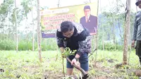 Anggota Komisi VI DPR Kawendra Tanam 888 Bibit Pohon di Lumajang Jatim, Gerakan Menanam untuk Masa Depan