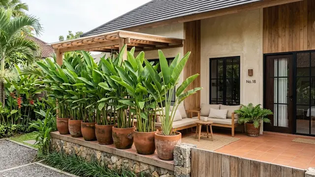 Tanaman dalam Pot untuk Membatasi Pandangan ke Teras