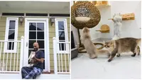 Pria ini bangun rumah mewah untuk kucingnya di halaman tempat tinggalnya. (Sumber: Facebook/Kamarul Aishah)