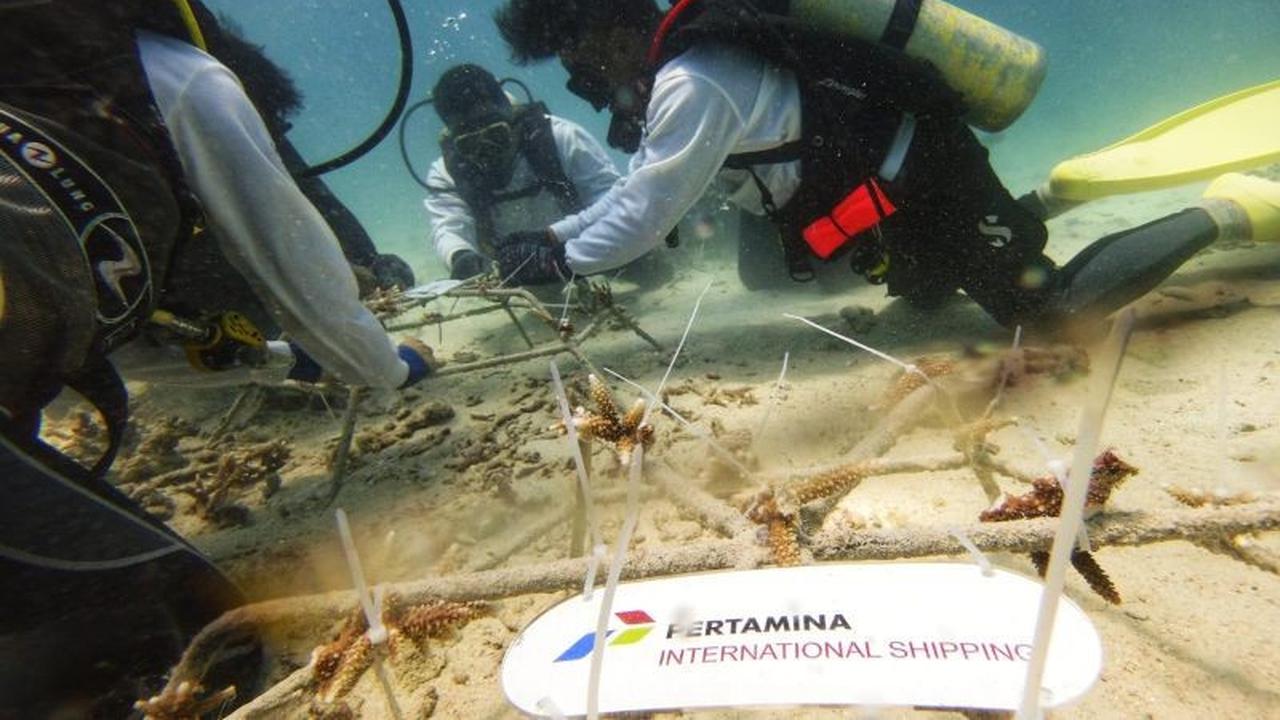 Tahukah Anda? PIS Tanam 1.000 Fragmen Terumbu Karang untuk Konservasi Ekosistem Laut di Sabang Aceh