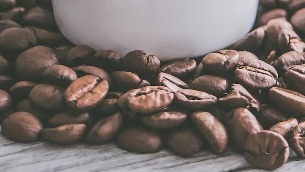 2. Kopi Luwak