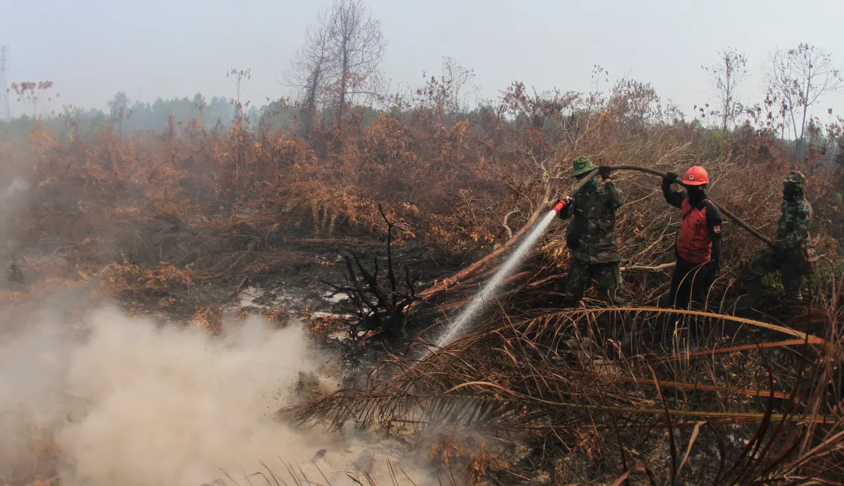 Personel TNI dan pemadam kebakaran menyemprotkan air untuk memadamkan kebakaran lahan gambut di Kampar, provinsi Riau pada 17 September 2019. Kebakaran hutan dan lahan (karhutla) yang masih terjadi membuat sejumlah wilayah di Provinsi Riau terpapar kabut asap. (AP/Rafka Majjid)