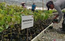 Otorita IKN Targetkan 164.000 Hektare Kawasan Lindung, Wujudkan Hutan Hujan Tropis Nusantara