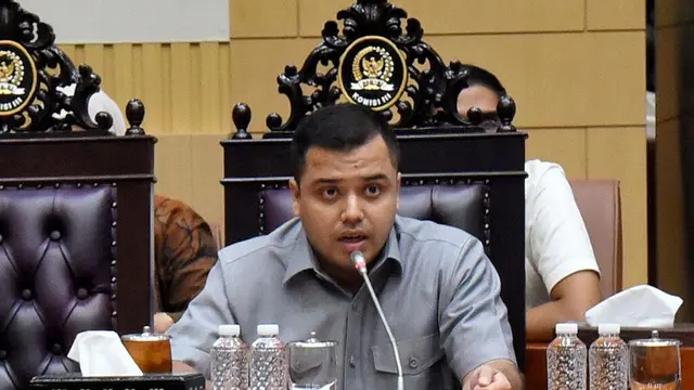 DPR Geram, Minta Tersangka Perburuan Gajah Sumatera Dihukum Berat