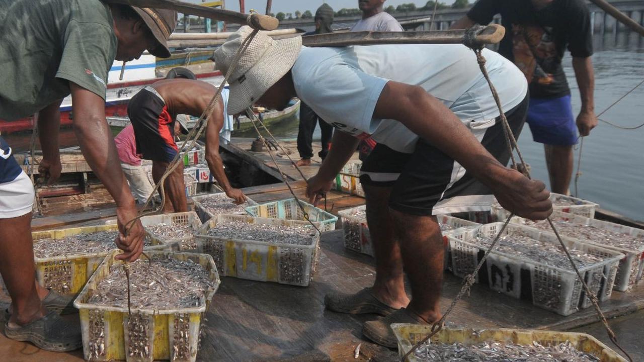 Sejumlah nelayan menurunkan ikan hasil tangkapannya di sebuah dermaga di Kalibaru, Jakarta, pada Jumat (31/5/2024). Mengganti daging merah dengan ikan sarden, herring, hingga teri disebut dapat mencegah 750 ribu kematian setiap tahun pada 2050.&nbsp;Merde