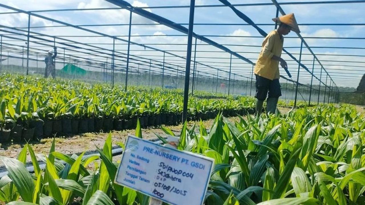 Tahukah Anda? Astra Agro Tingkatkan Produktivitas Sawit Hingga 8.000 Hektare Tanpa Perluasan Lahan