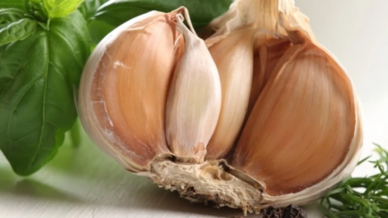 Foto: copyright by shutterstock.com