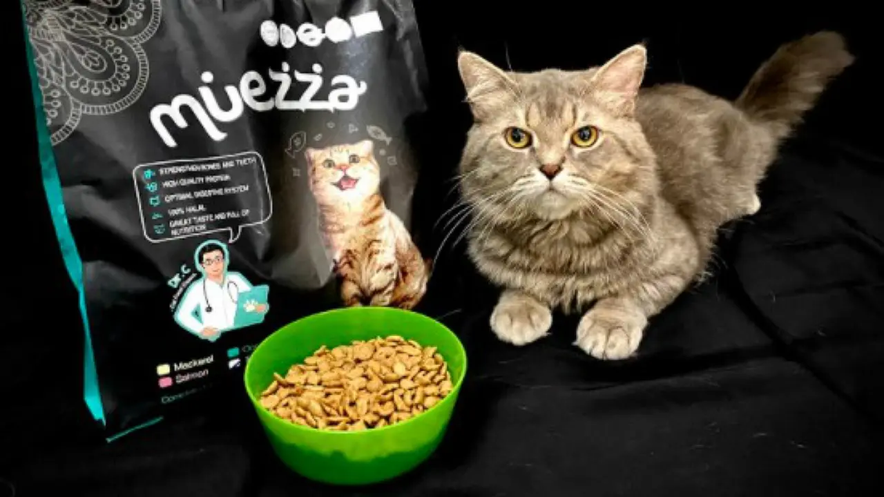 Muezza