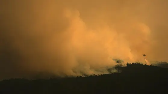 Spanyol Darurat Nasional Kebakaran Hutan