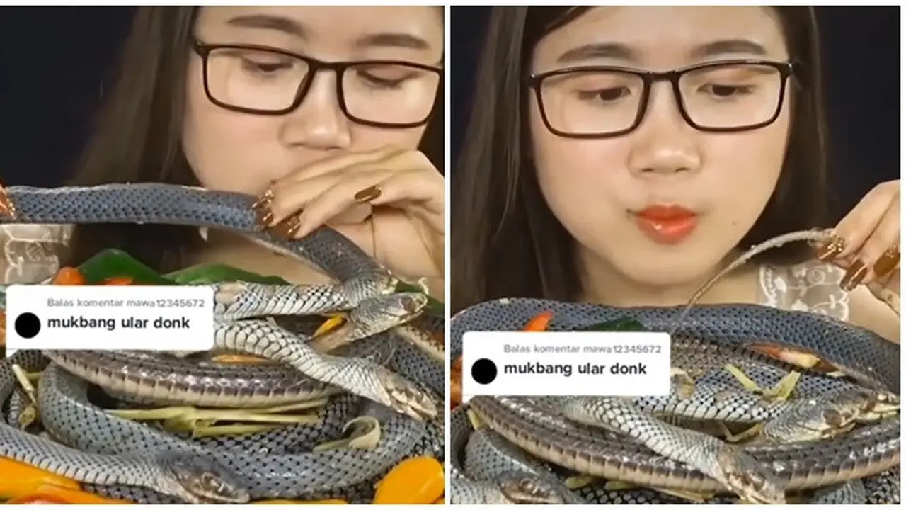 Seperti Makanan Favorit, Aksi Wanita Makan Ular Ini Bikin Merinding