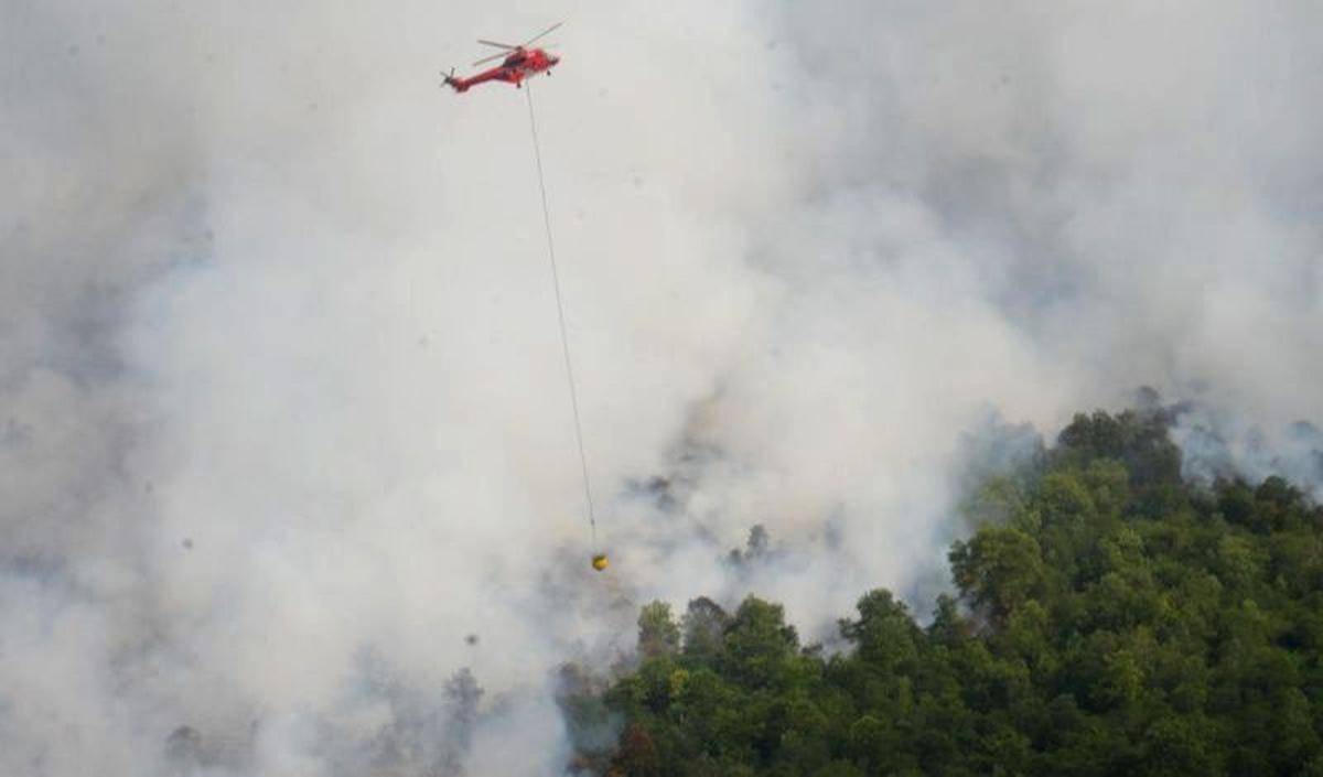 Jenis helikopter dimaksud adalah helikopter tipe AS350B3e dengan nomer lambung PK-DAP. Helikopter tersebut mampu membawa 1.000 liter air. Sementara air akan diambil dari Telaga Sarangan.<br>