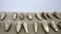 Barang antik yang dikembalikan ke Irak oleh museum swasta di Lebanon dipajang di Museum Nasional Irak di ibu kota Baghdad (8/2/2022). Lebih dari 300 tablet tulisan paku kuno dikembalikan ke Irak pada Senin (7/2) dari museum pribadi Lebanon. (AFP/Sabah Arar)