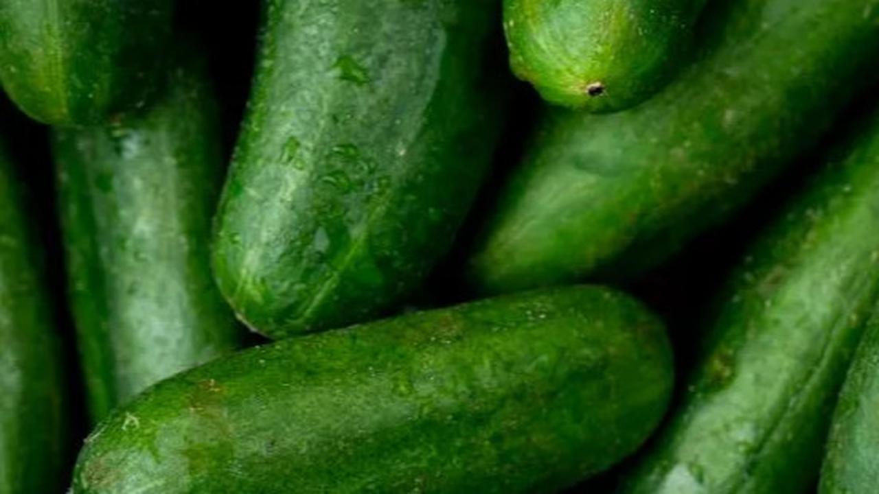 Fakta Unik Timun: Buah Kaya Air Ini Punya Manfaat Kesehatan Luar Biasa, Tapi Waspadai Efek Sampingnya!