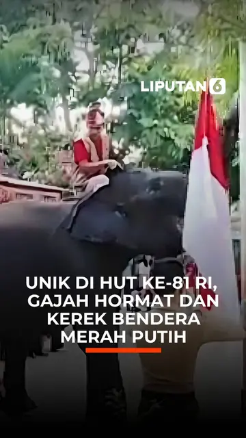 Unik di HUT ke-81 RI, Gajah Hormat dan Kerek Bendera Merah Putih