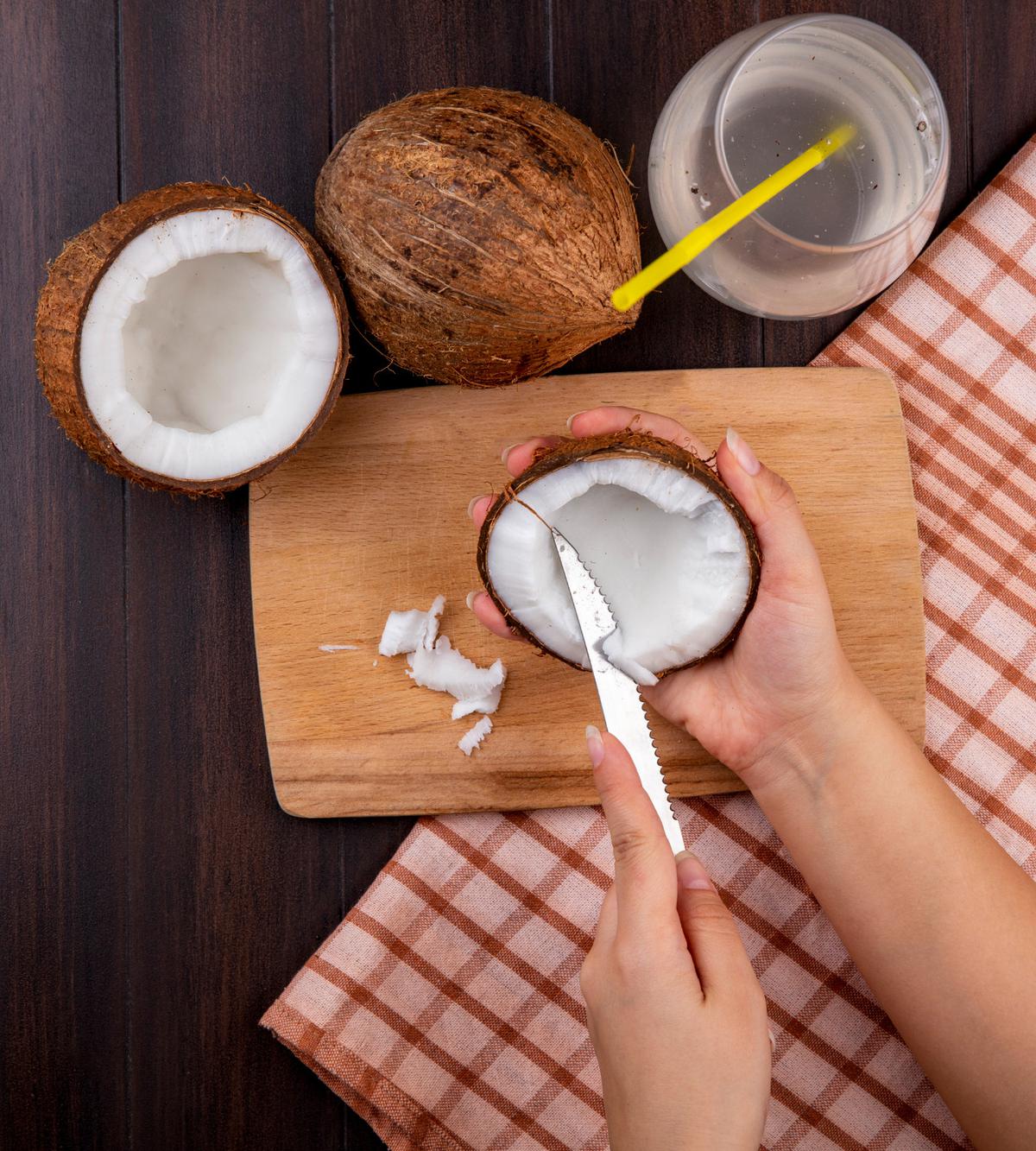 Ilustrasi Daging Kelapa