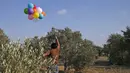 Seorang pria Palestina melepaskan balon dengan alat peledak ke arah Israel di sepanjang perbatasan Israel-Gaza (12/8/2020). Imbas gempuran balon api, Israel melancarkan serangan balasan yang menyasar pertahanan Hamas serta menghentikan pasokan bahan bakar ke Jalur Gaza. (AFP Photo/Mohammed Abed)
